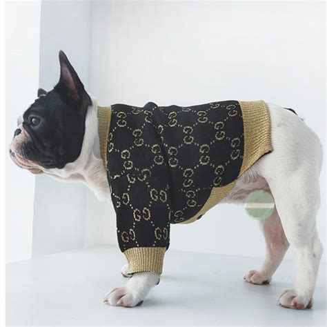 french bulldog gucci sweater|Gucci customer service.